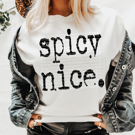 Spicy Nice Typography